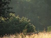 20100206 537.JPG